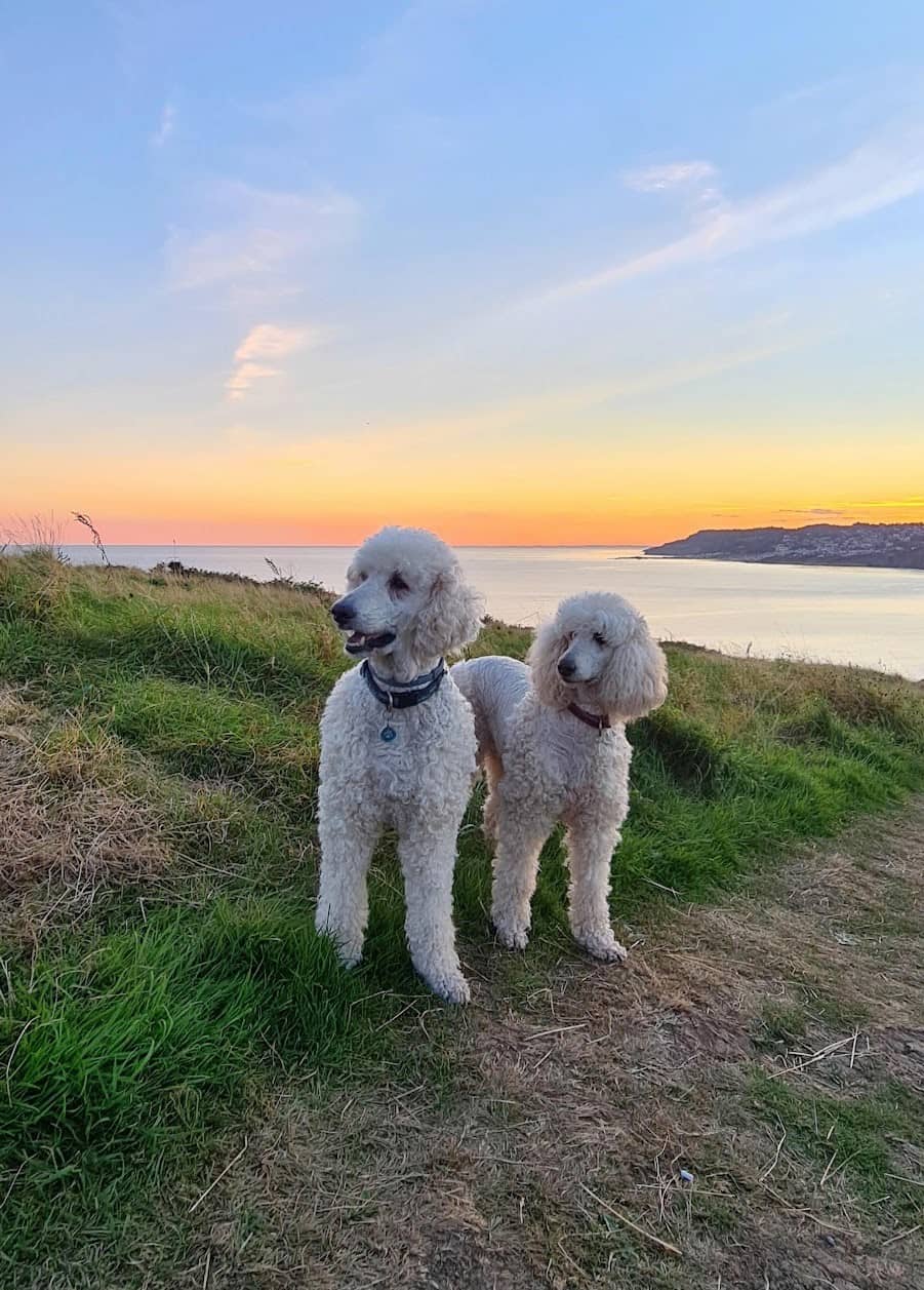 Charmouth & East Cliff, Lyme Regis Charmouth & East Cliff, Lyme Regis