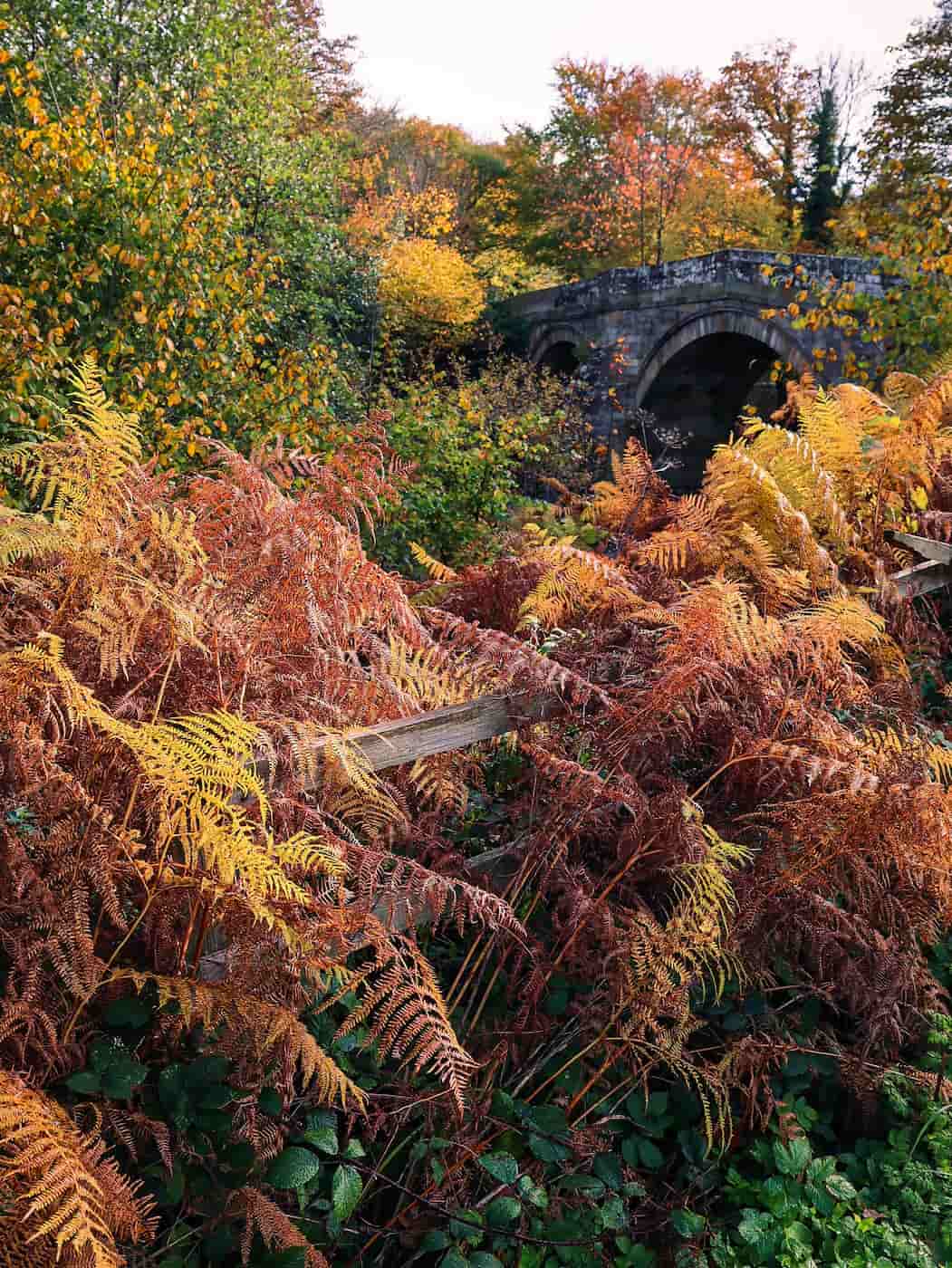 Esk Valley, Whitby Esk Valley, Whitby