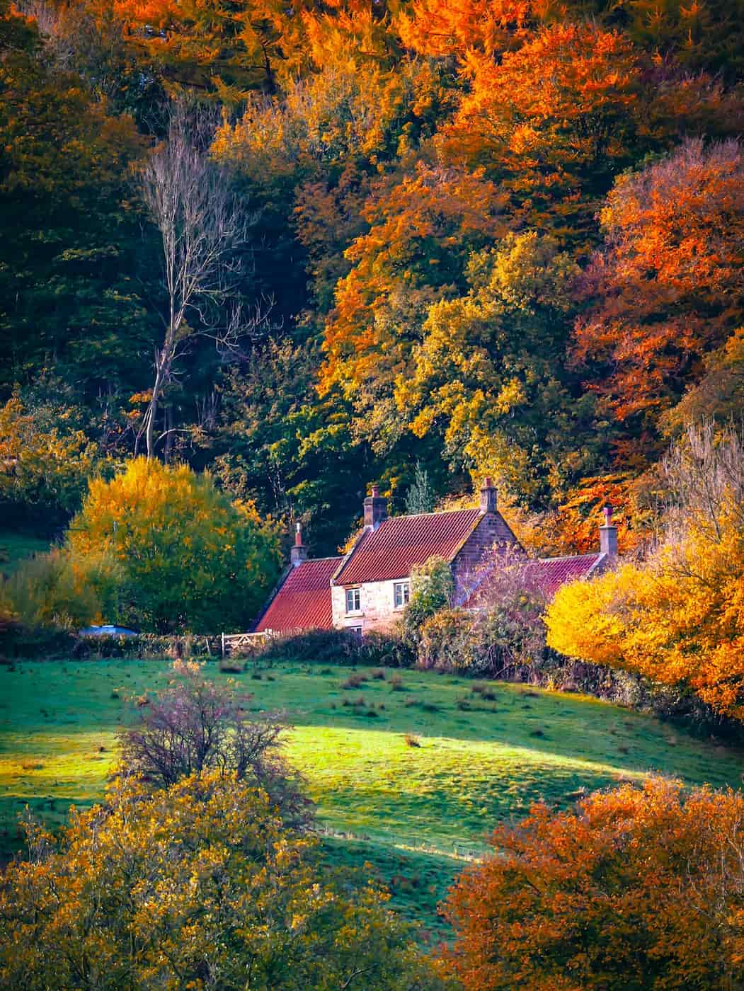 Esk Valley, Whitby Esk Valley, Whitby