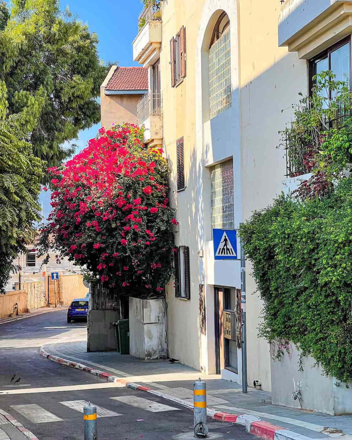 Florentin & Neve Tzedek, Israel Florentin & Neve Tzedek, Israel
