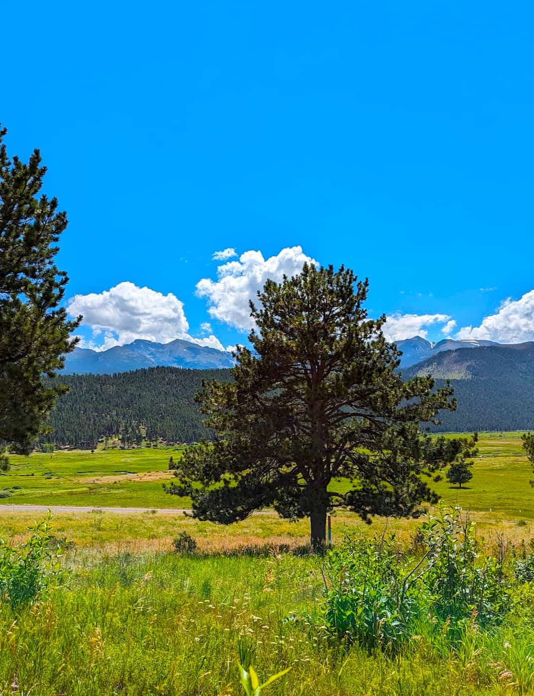 Inside the Park, Rocky Mountain National Park Inside the Park, Rocky Mountain National Park