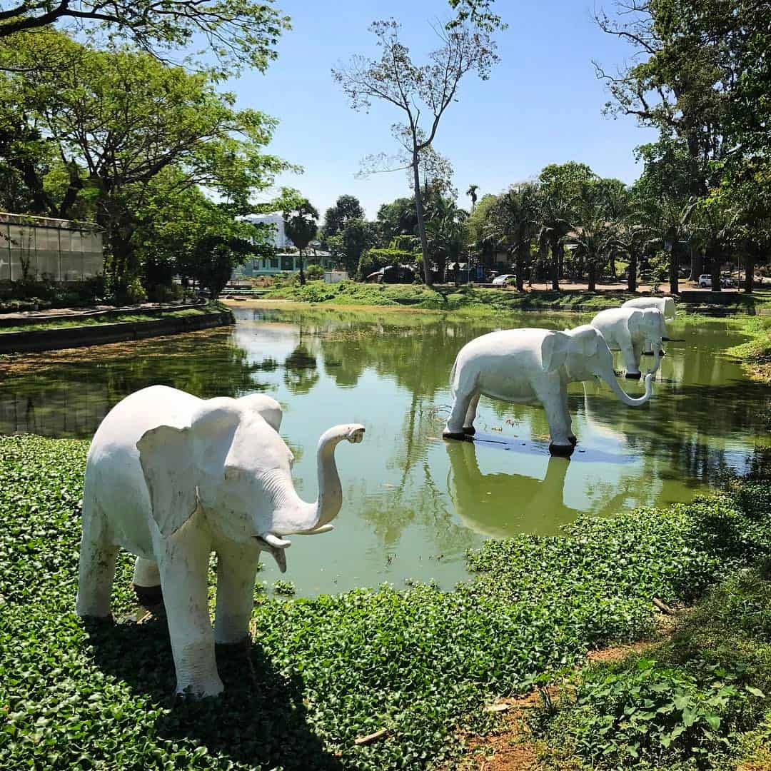 Kandawgyi Lake, Yangon Kandawgyi Lake, Yangon