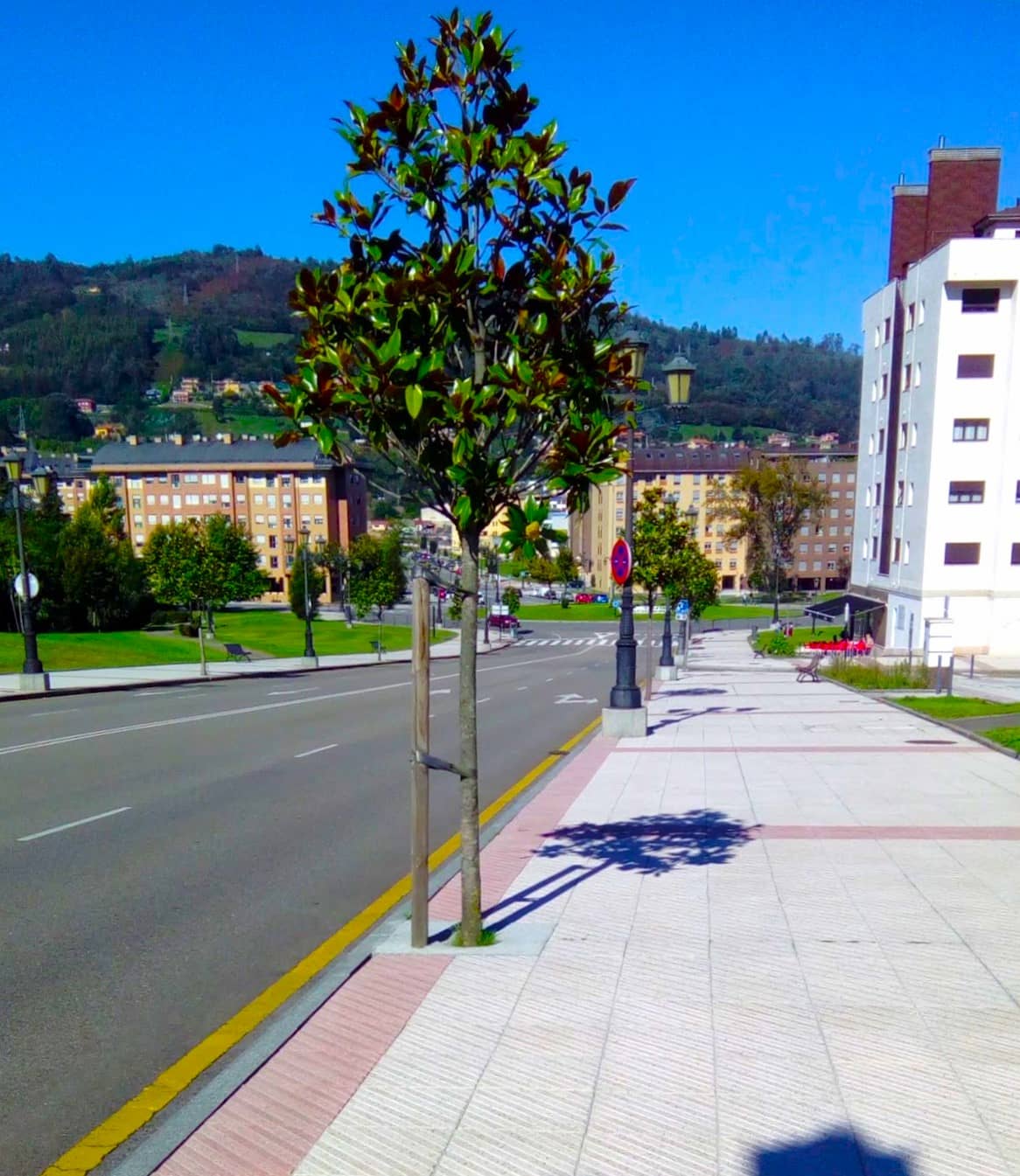 La Corredoria, Oviedo (3) La Corredoria, Oviedo