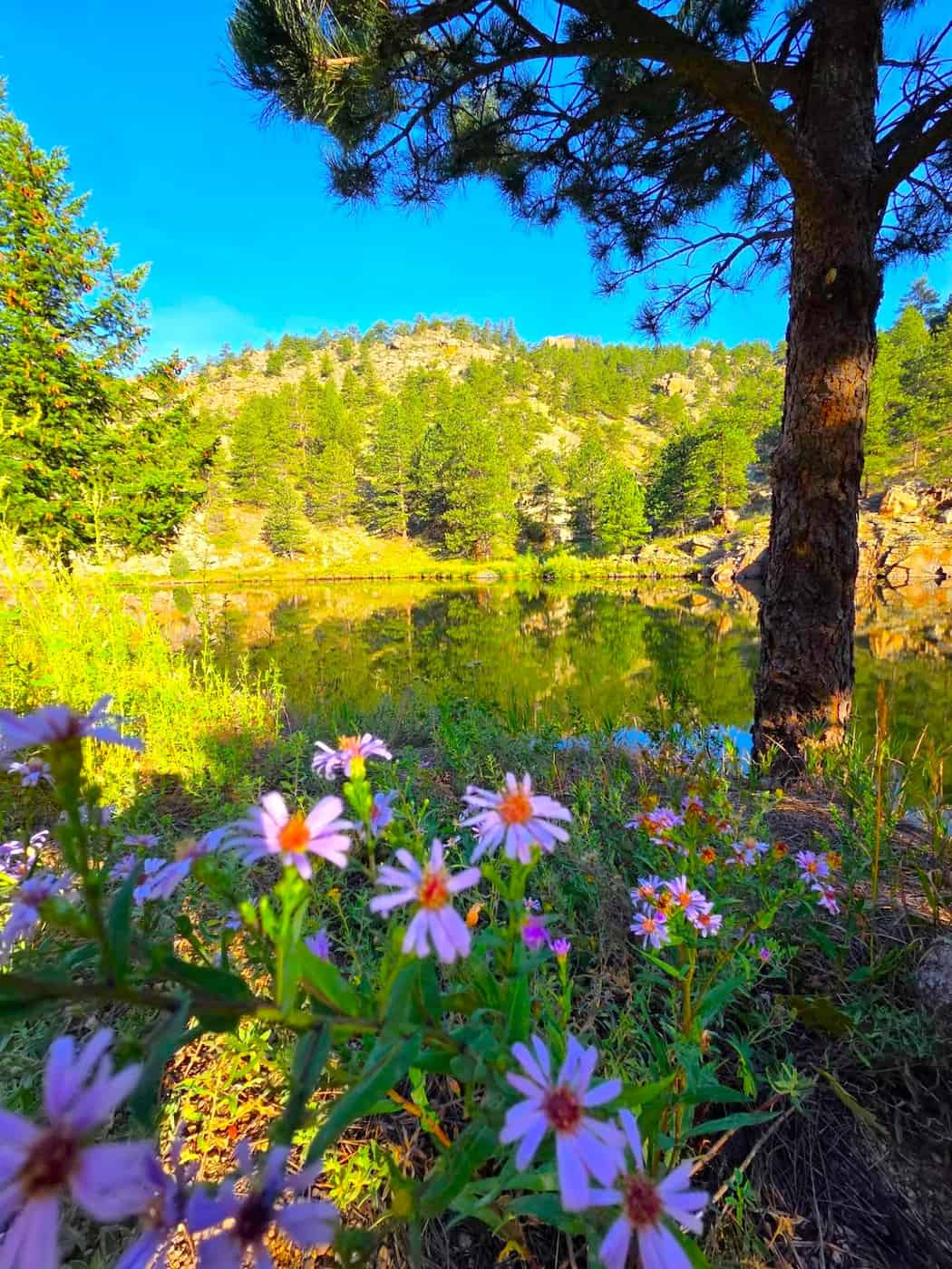 Lyons, Rocky Mountain National Park Lyons, Rocky Mountain National Park