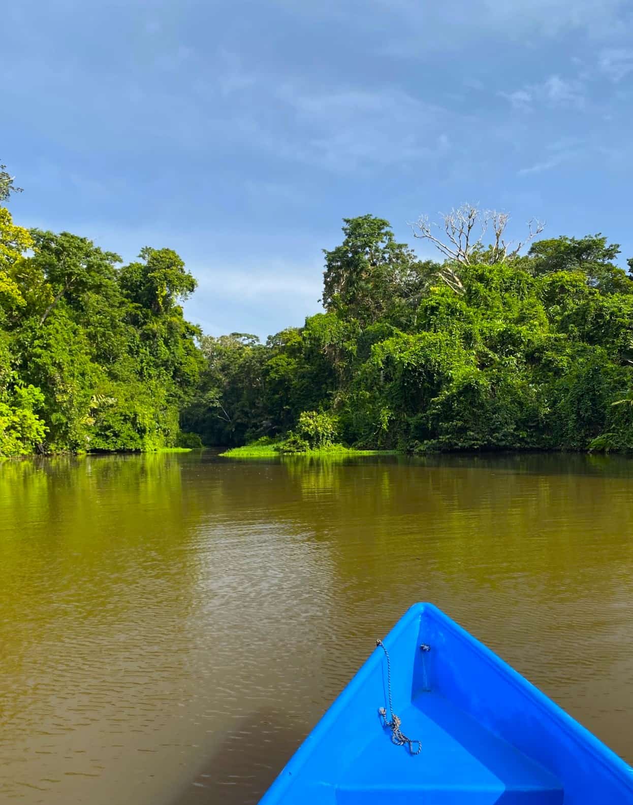 Northern Peninsula, Tortuguero Northern Peninsula, Tortuguero