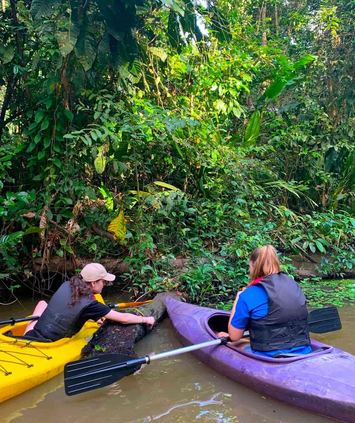 Northern River Bend, Tortuguero Northern River Bend, Tortuguero
