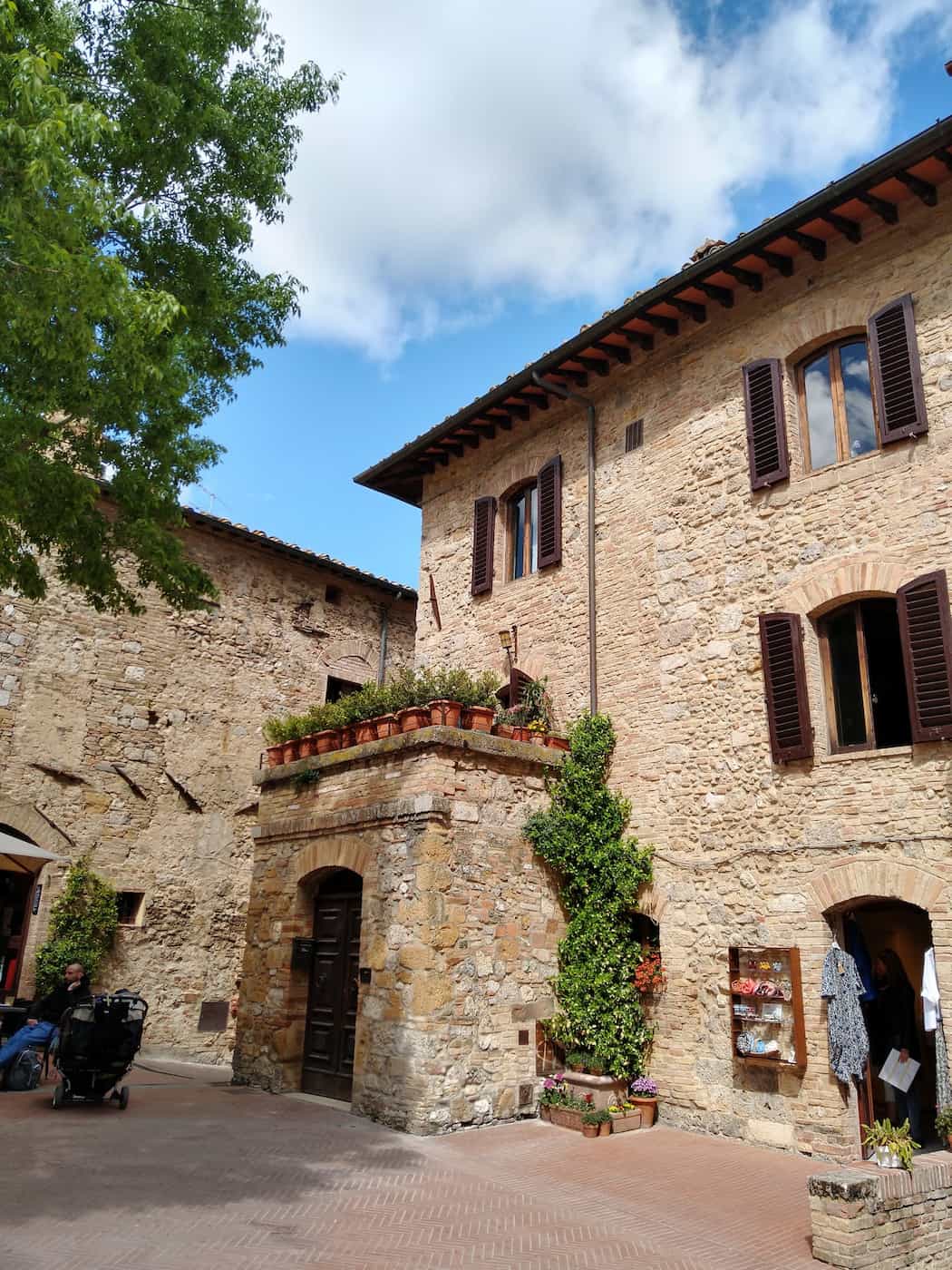 Northern Vineyards, San Gimignano Northern Vineyards, San Gimignano