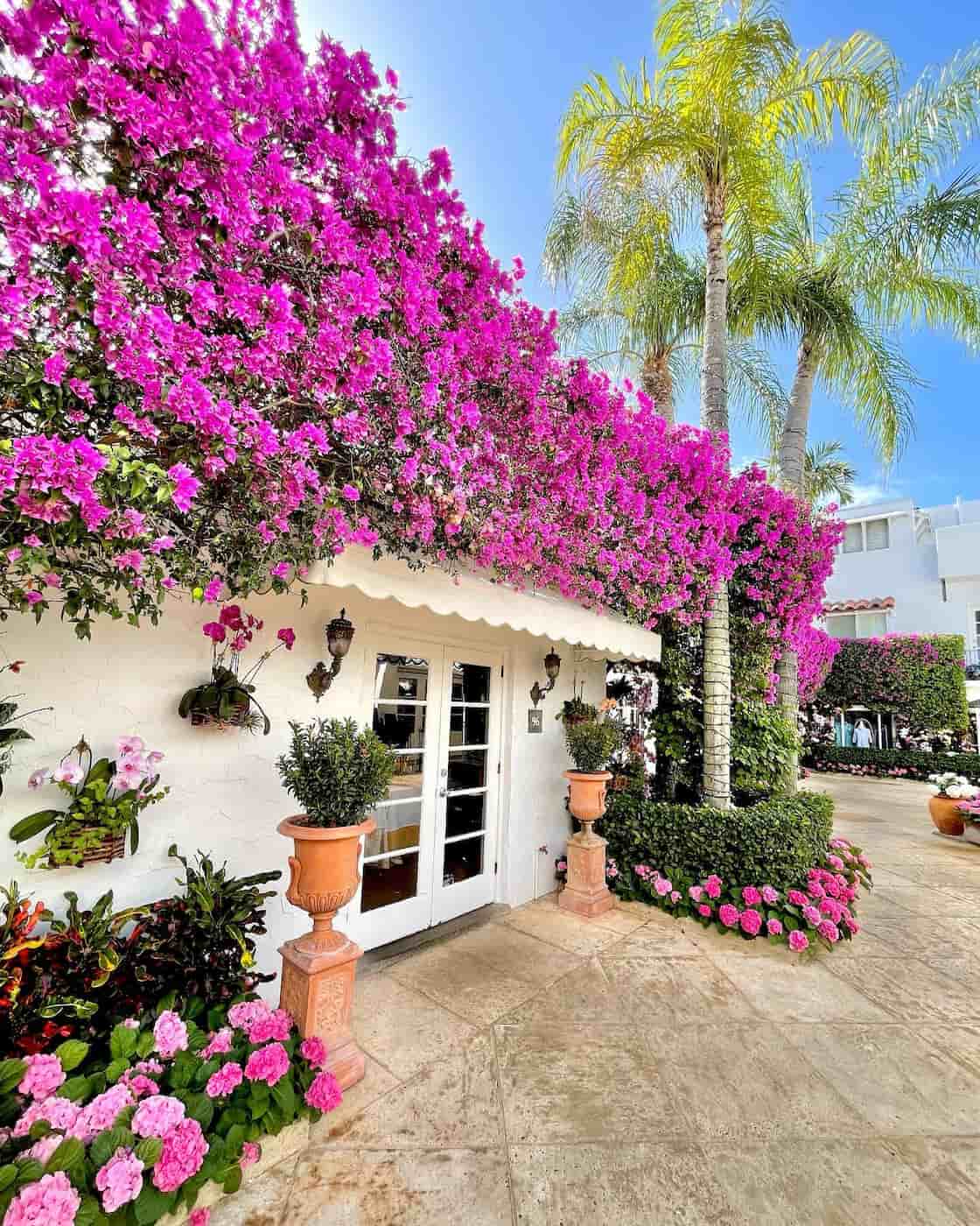 Palm Beach Island, West Palm Beach Palm Beach Island, West Palm Beach