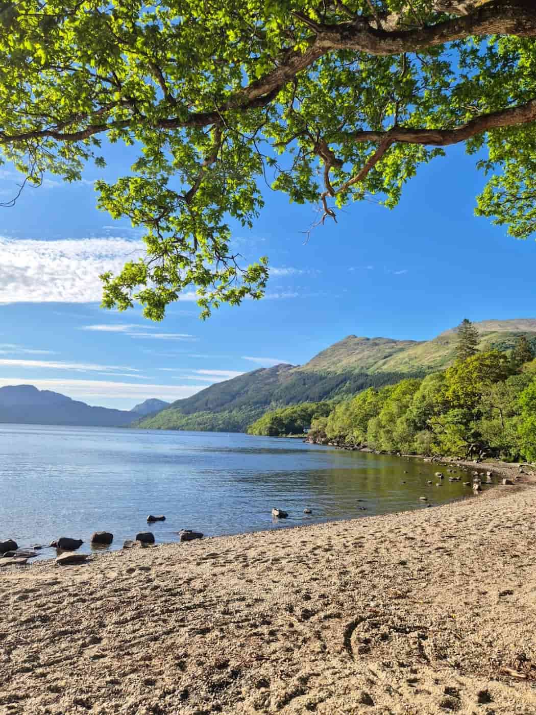 Rowardennan, Loch Lomond Rowardennan, Loch Lomond