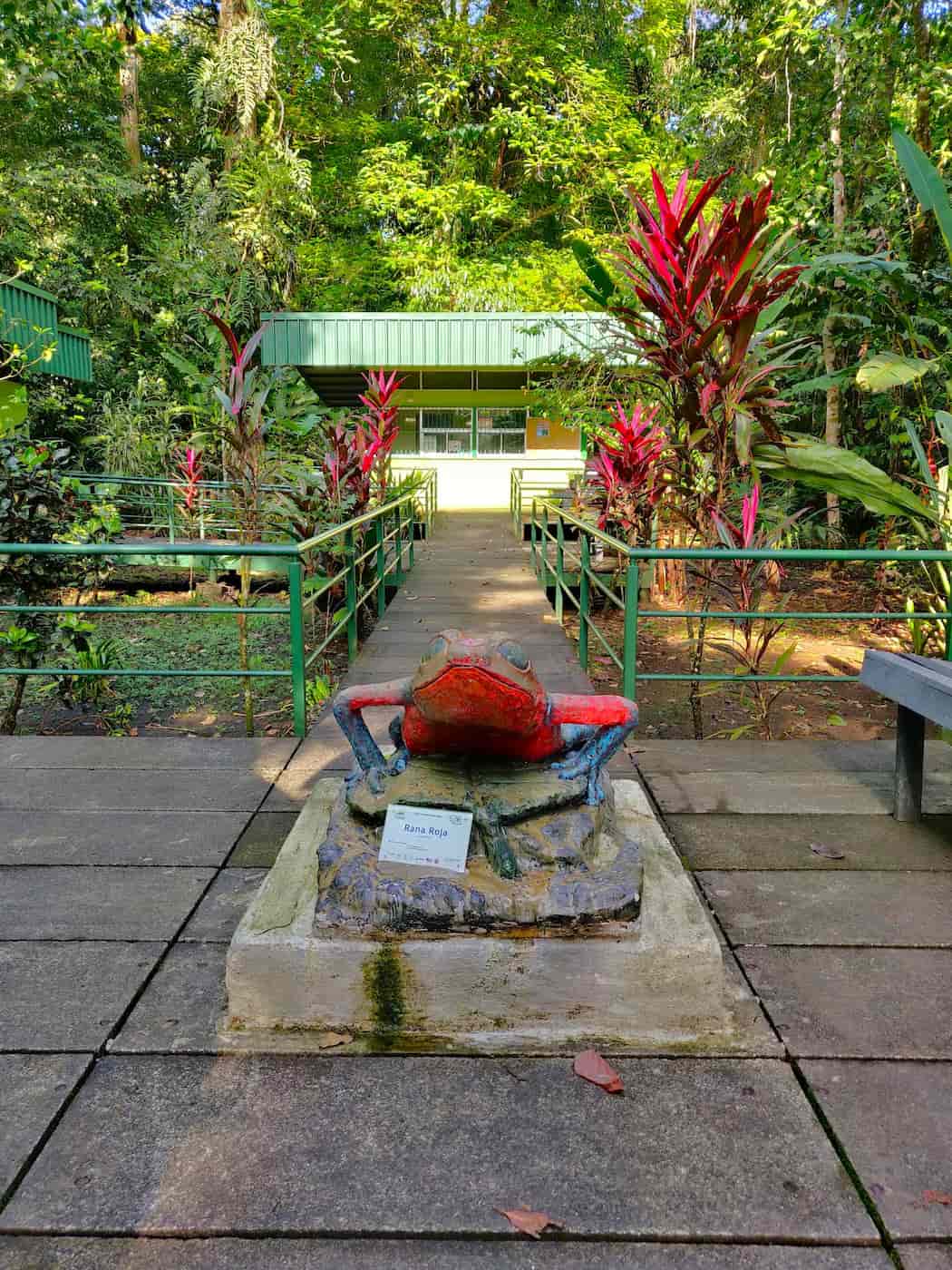 San Francisco de Tortuguero San Francisco de Tortuguero