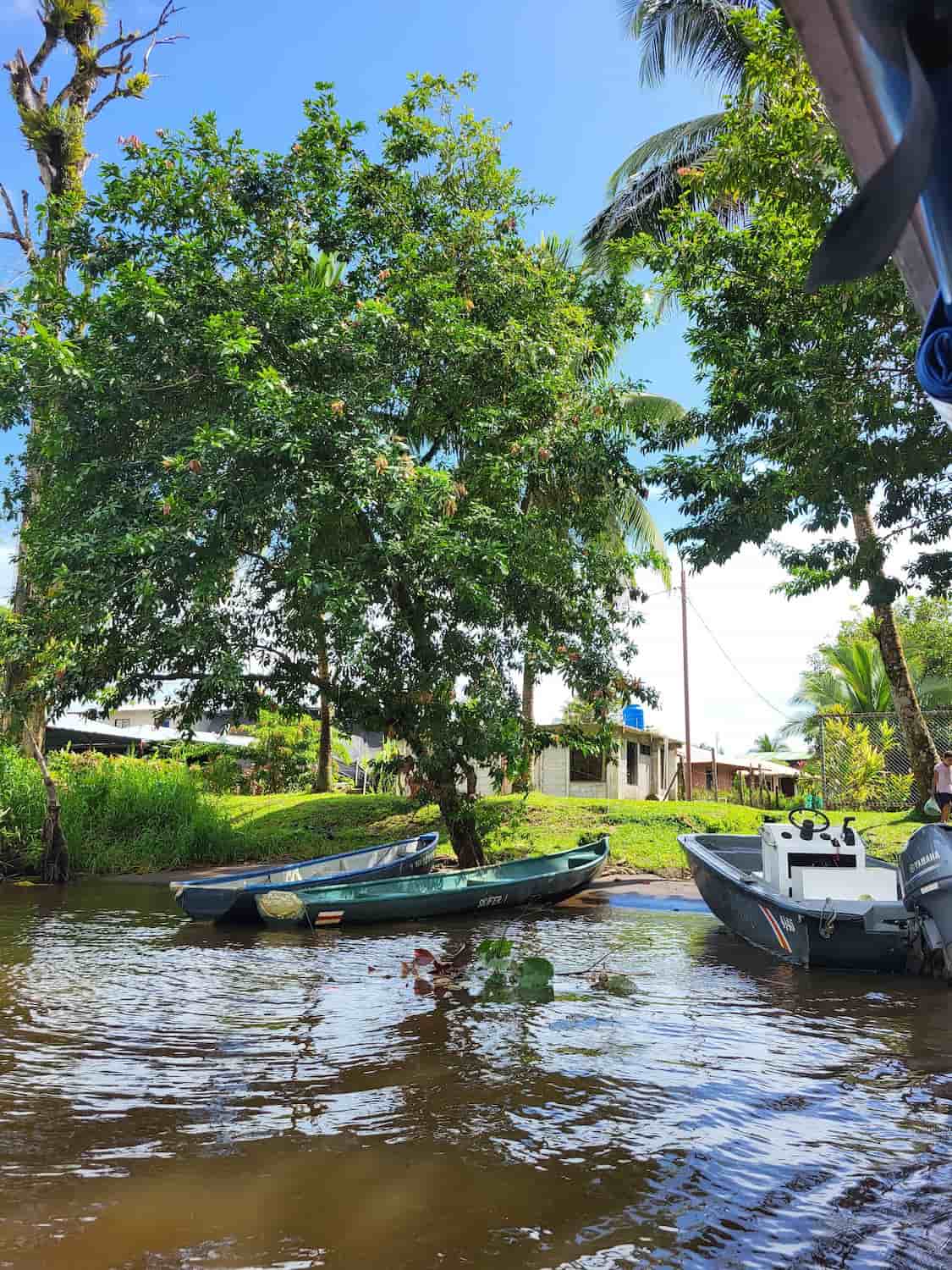 San Francisco de Tortuguero San Francisco de Tortuguero
