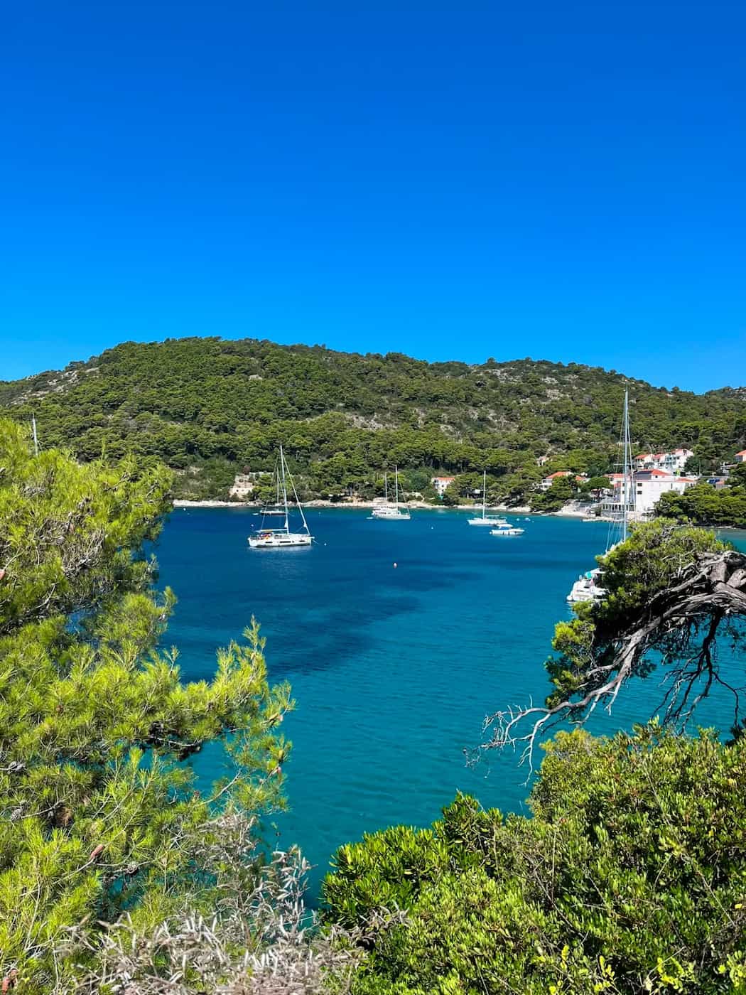 Saplunara, Mljet Saplunara, Mljet
