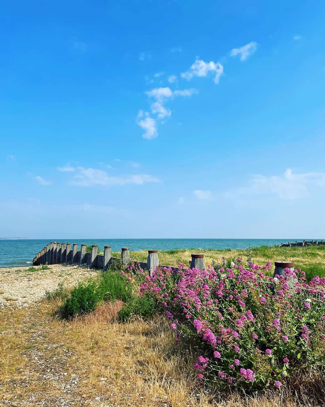 Seasalter, Whitstable (4)