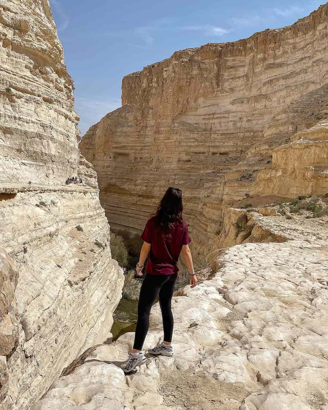 The Negev Desert, Israel (3) The Negev Desert, Israel