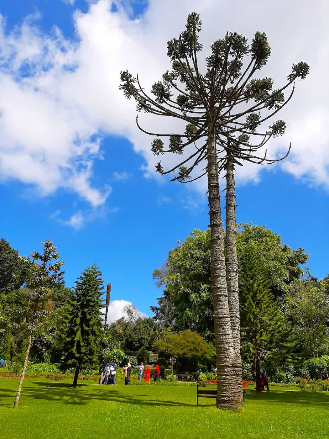 Victoria Park & Golf Club, Nuwara Eliya Victoria Park & Golf Club, Nuwara Eliya