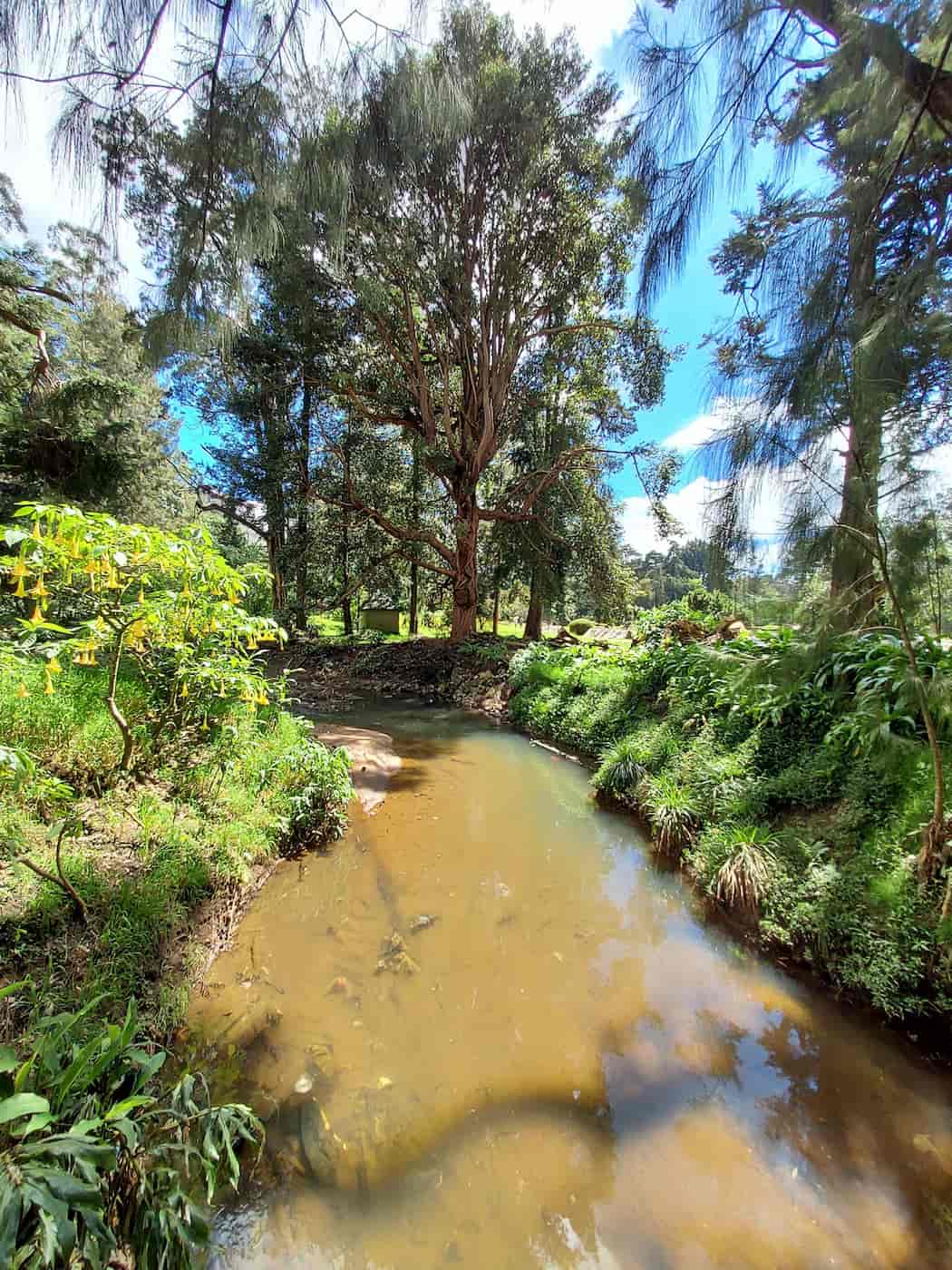 Victoria Park & Golf Club, Nuwara Eliya Victoria Park & Golf Club, Nuwara Eliya