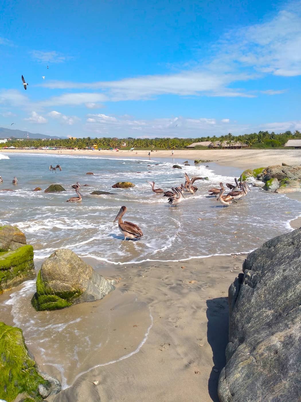 Zicatela, Puerto Escondido Zicatela, Puerto Escondido